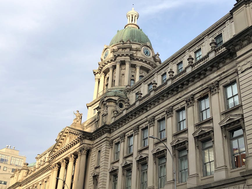 Ruedas y rodamientos recomendados